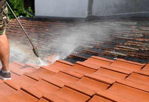 Best Concrete Pressure Washing  in Bourbonnais, IL