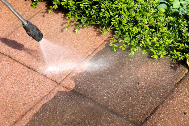 Best Exterior Home Cleaning  in Bourbonnais, IL